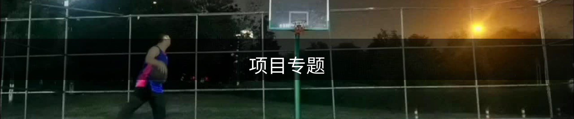 项目专题